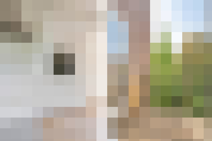 Image 23