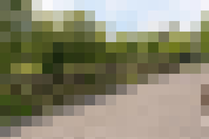 Image 50