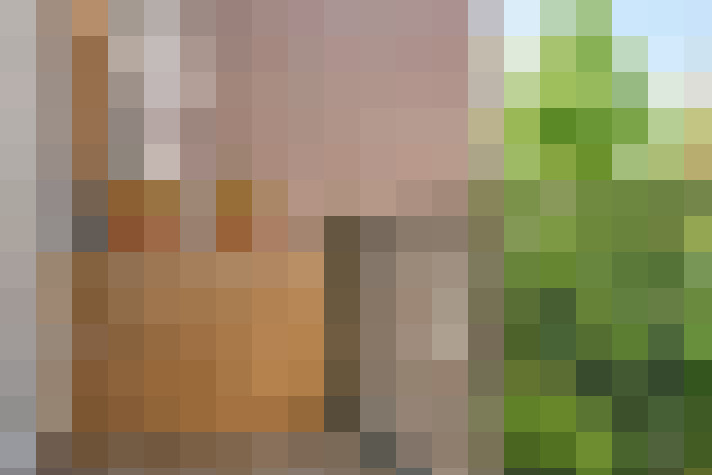 Image 24