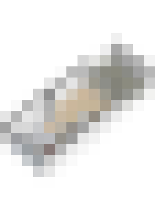 Image 43