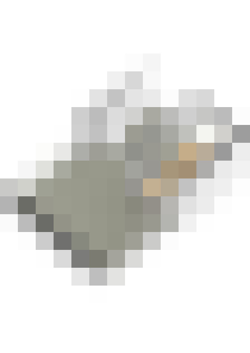 Image 47