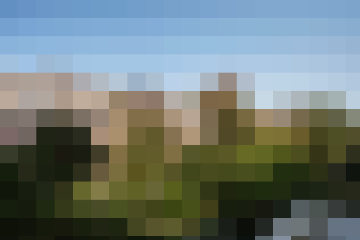 Image 38