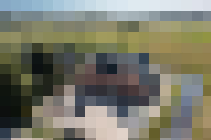 Image 23