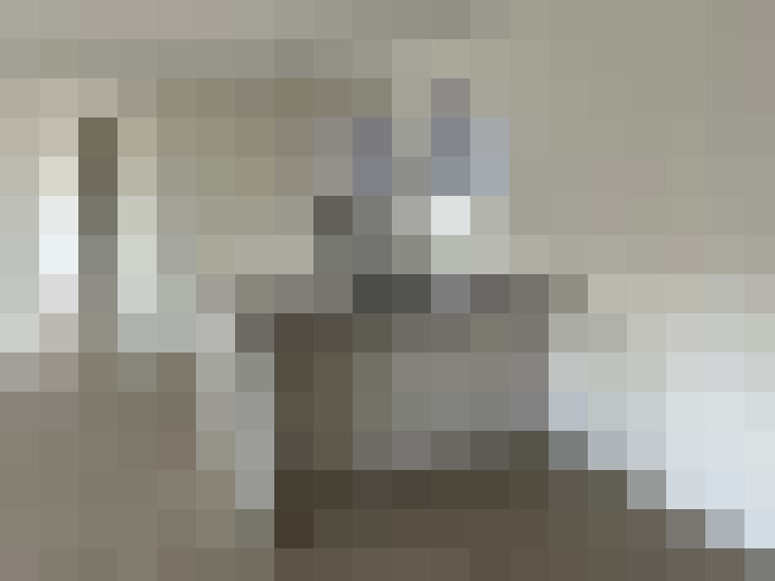 Image 13