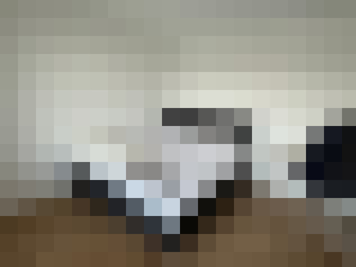 Image 13