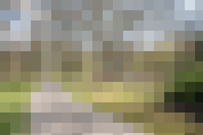 Image 33