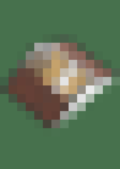 Image 41