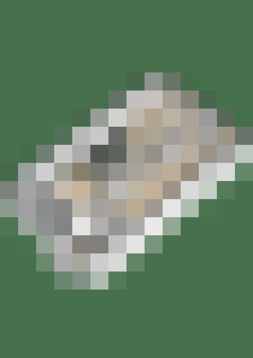 Image 37