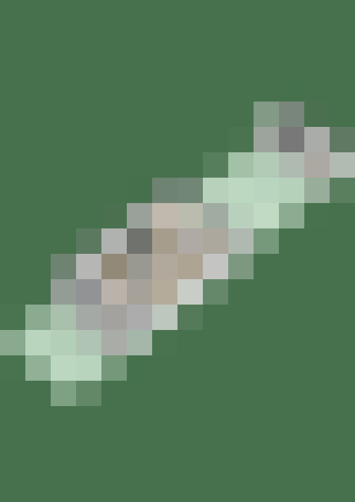 Image 35