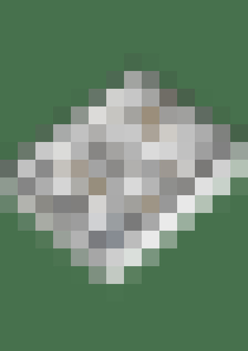 Image 39