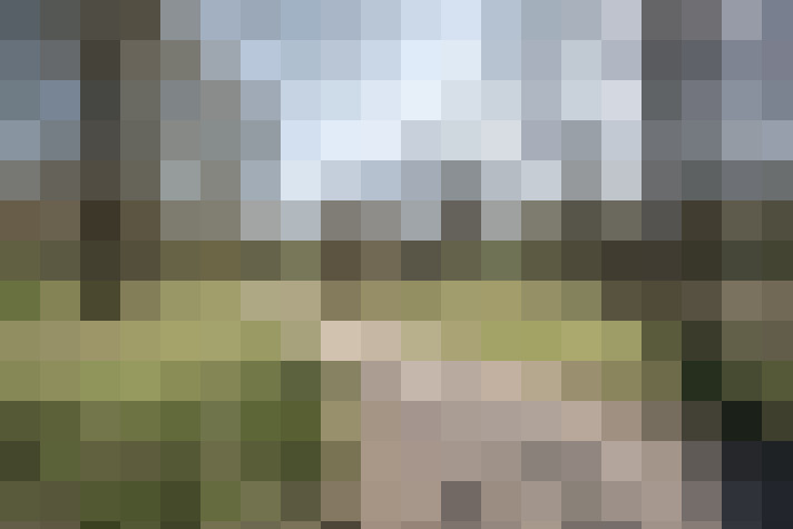 Image 31