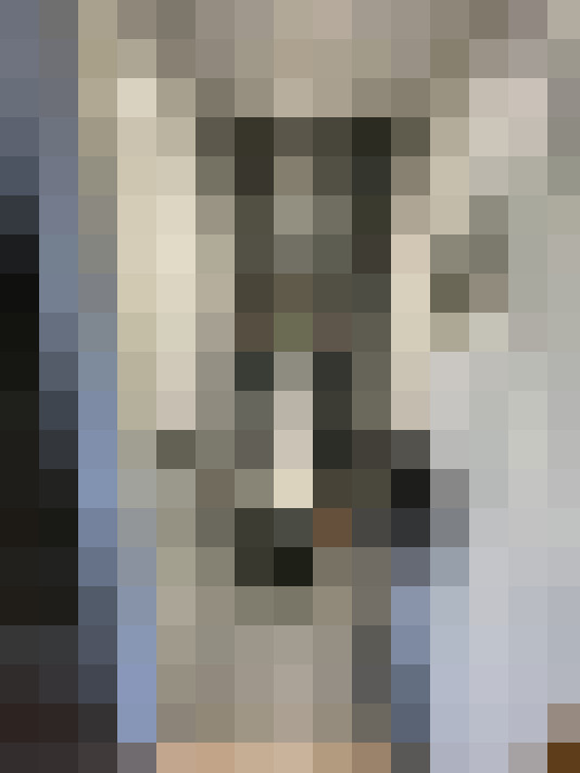Image 24
