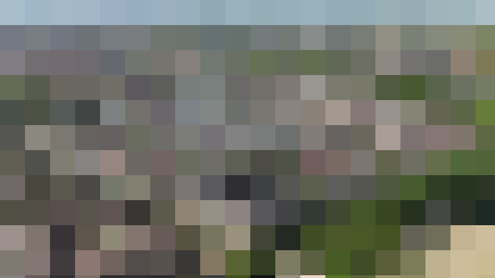 Image 36