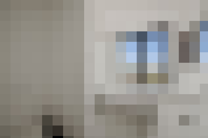 Image 23