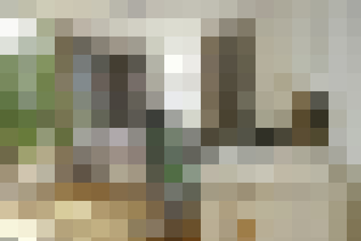 Image 13