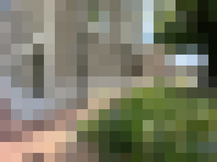 Image 18