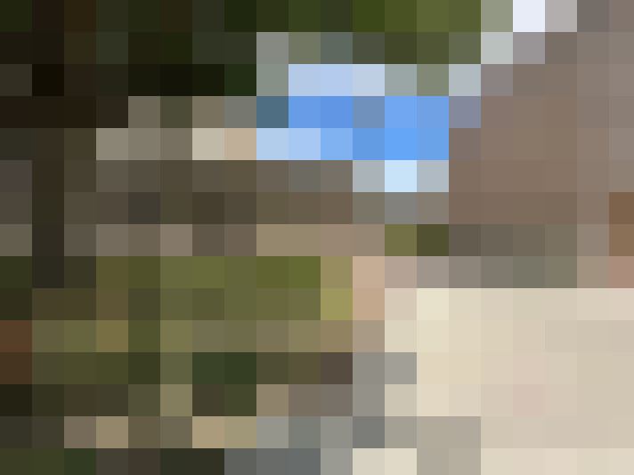 Image 20