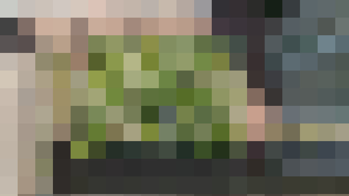 Image 31