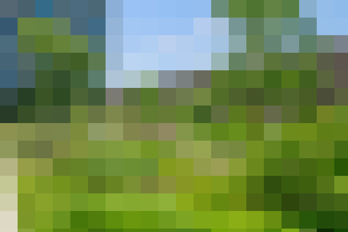 Image 32