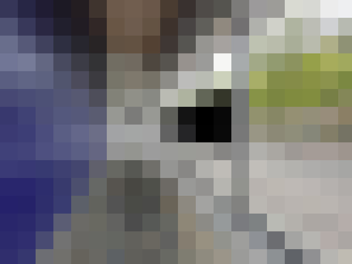Image 29