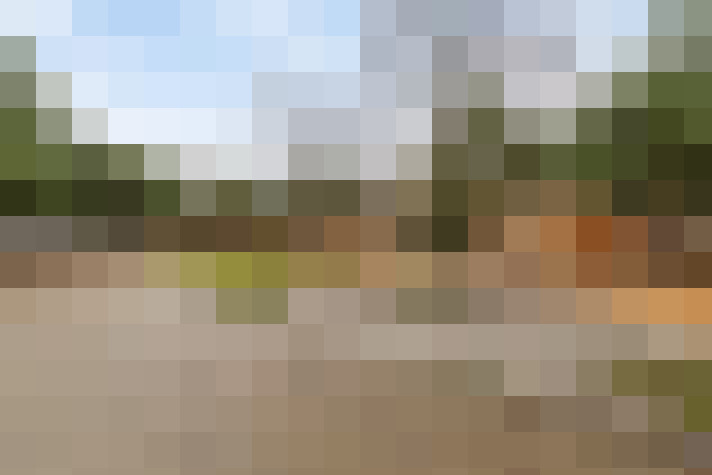 Image 31