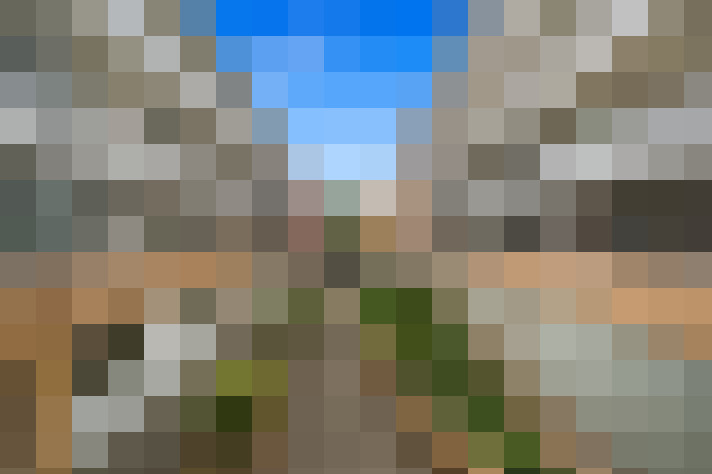Image 23