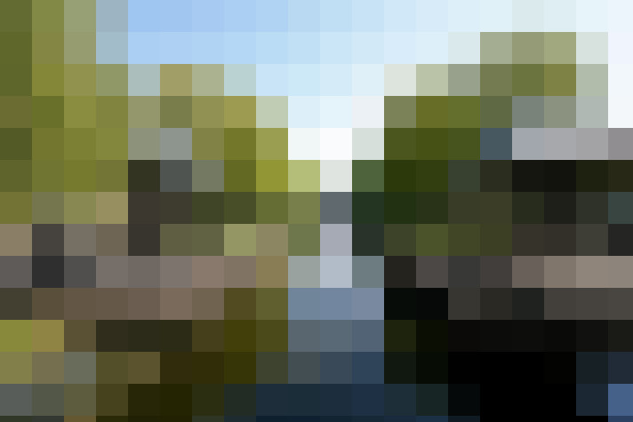 Image 20