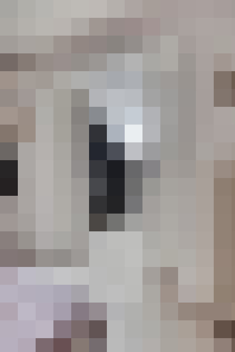 Image 29