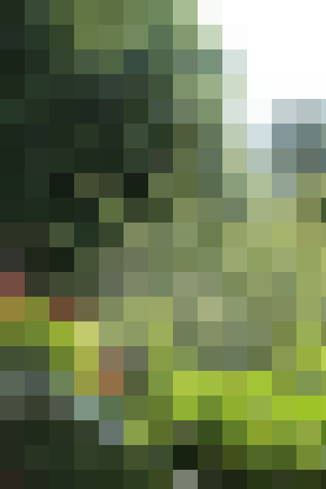 Image 13