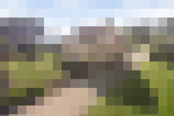 Image 34