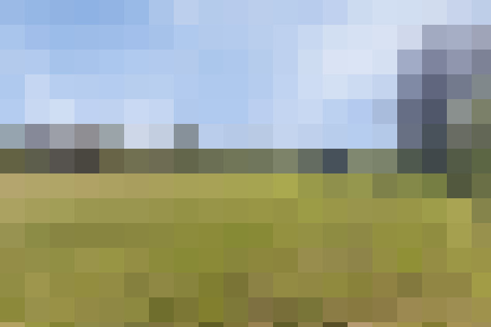 Image 33