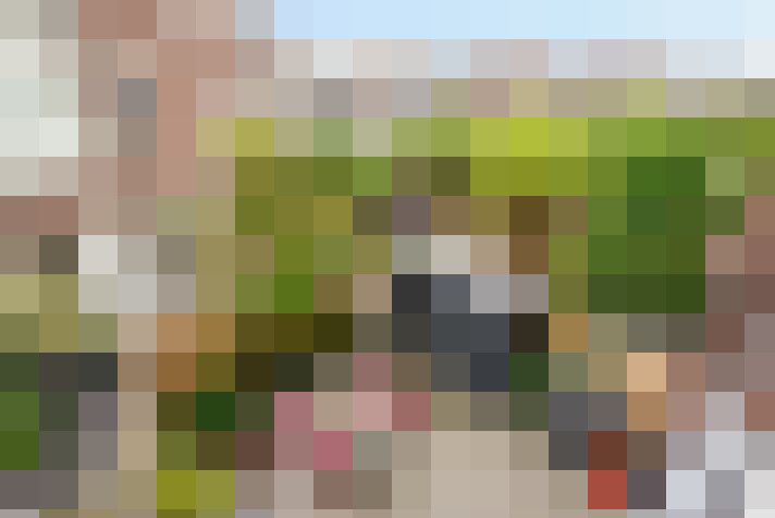 Image 38
