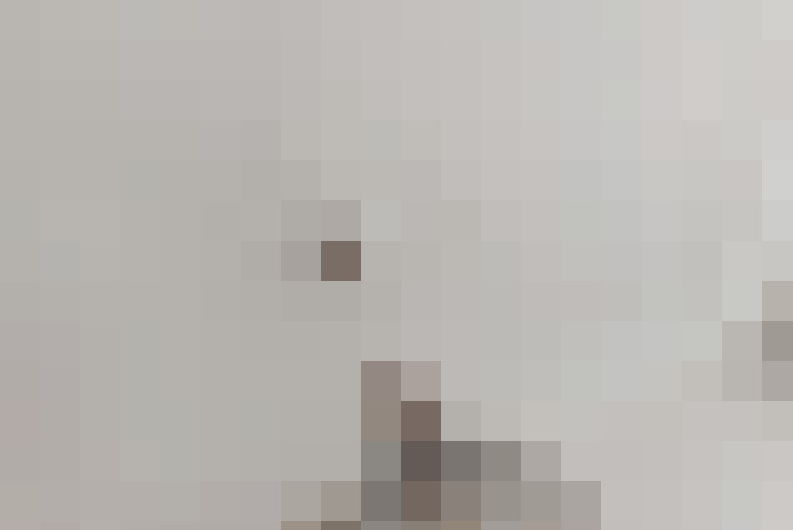 Image 42