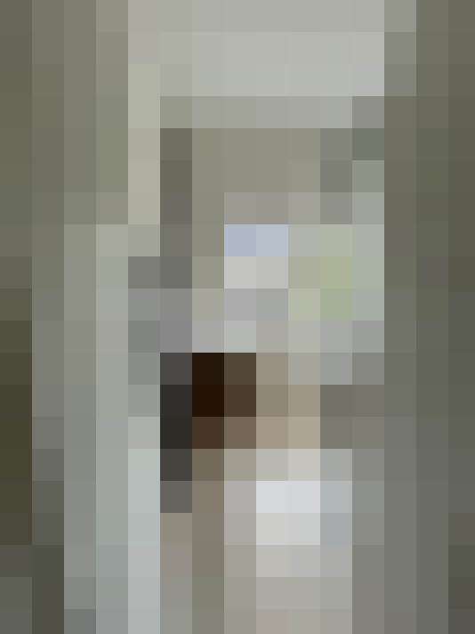 Image 13