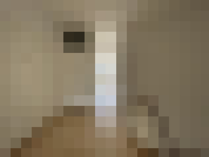 Image 29