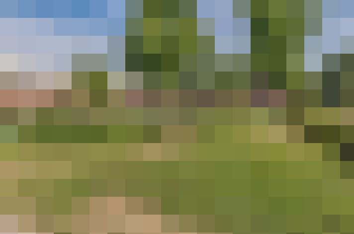 Image 15
