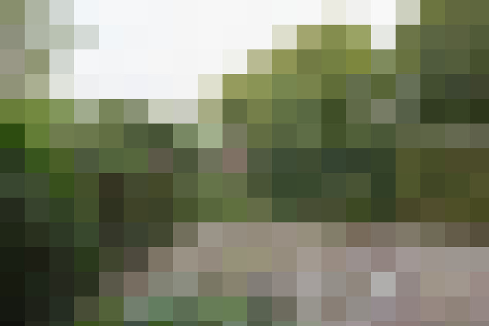 Image 18