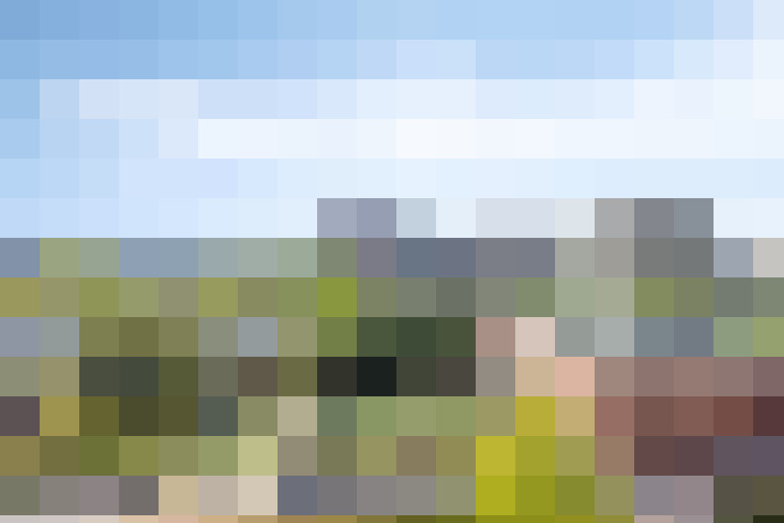 Image 23