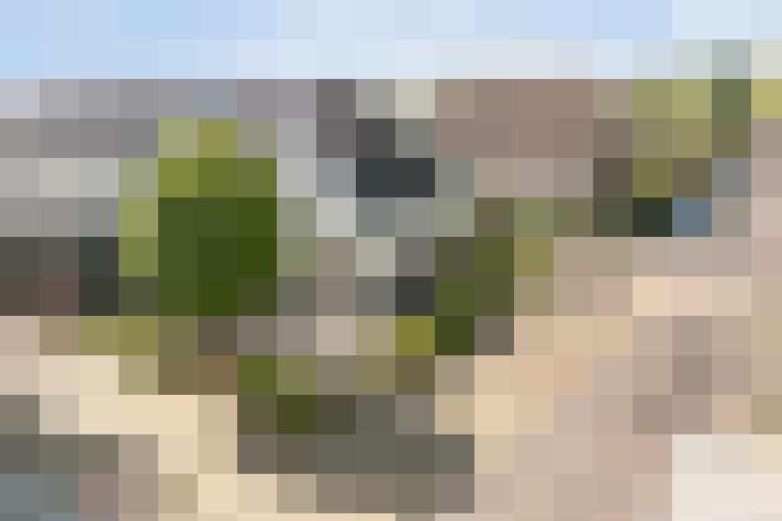 Image 34