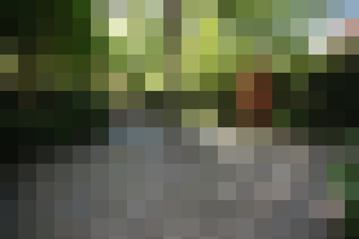Image 88