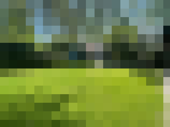 Image 83