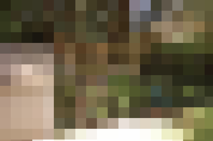 Image 69