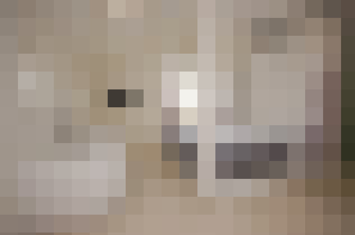 Image 41