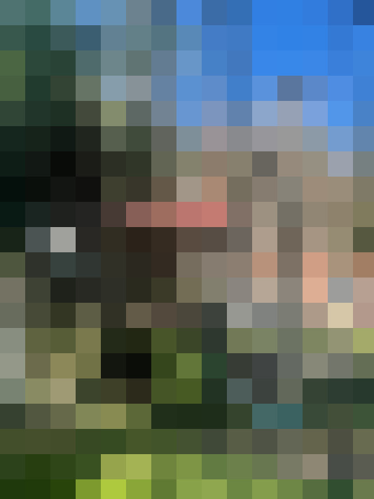 Image 67