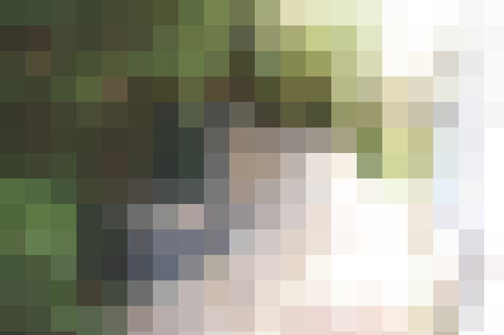 Image 66