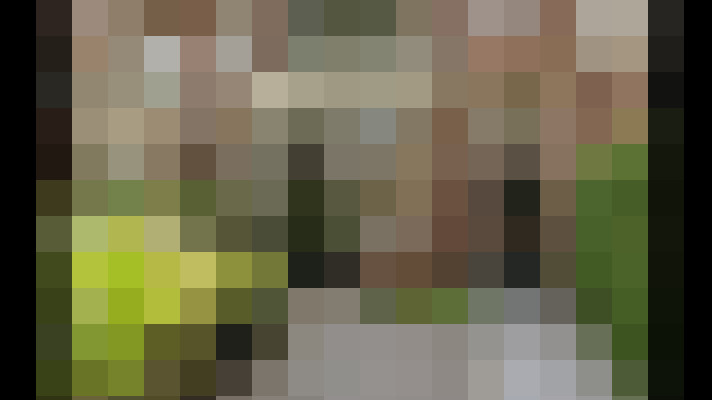 Image 79