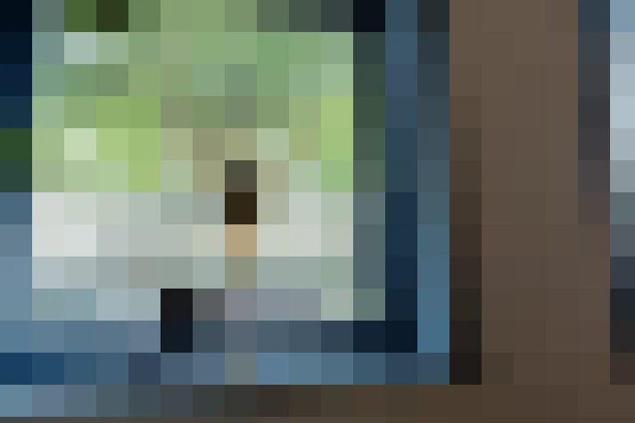 Image 30