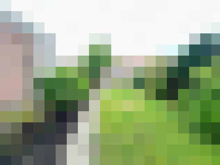 Image 20