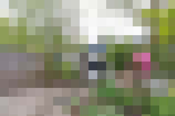 Image 31