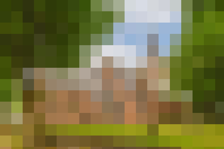 Image 42